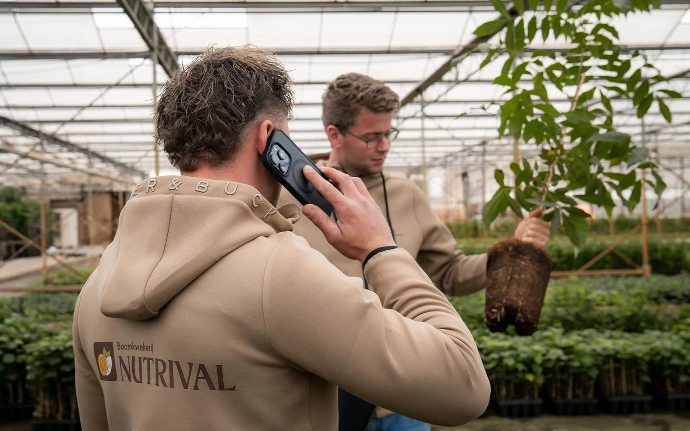 Medewerkers van Boomkwekerij Nutrival met jonge notenboom