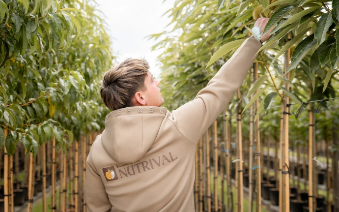 Ervaren kweker in de kwekerij